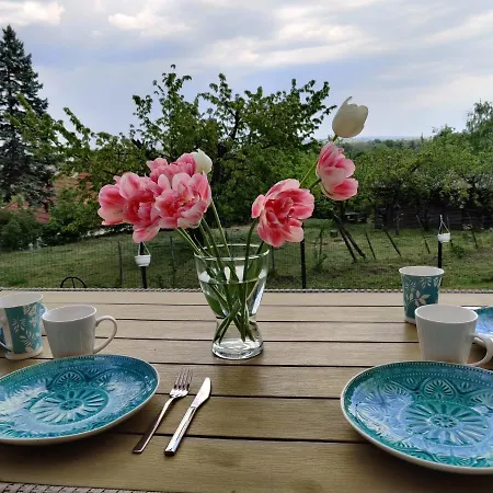 Apartment Krisztina Vendeghaz - Kueloenallo - Itt Csak Ti Vagytok Leányfalu