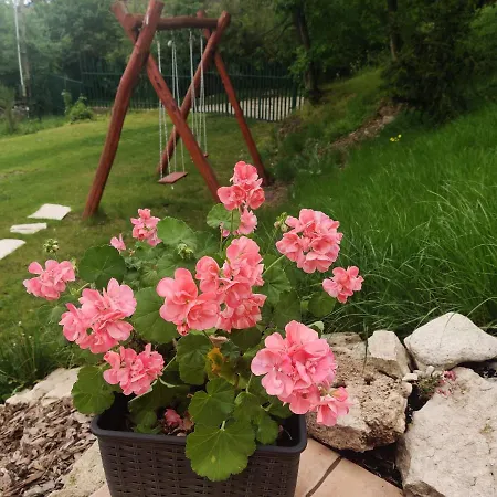 Appartement Krisztina Vendeghaz - Kueloenallo - Itt Csak Ti Vagytok